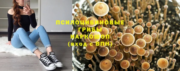 крисы Алзамай