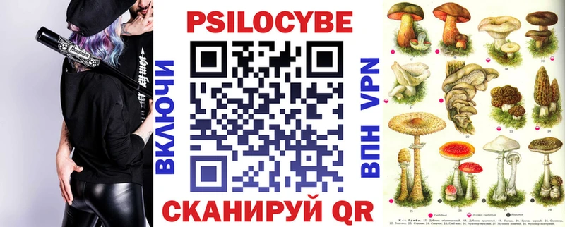 kraken ONION  Осташков  Галлюциногенные грибы прущие грибы 